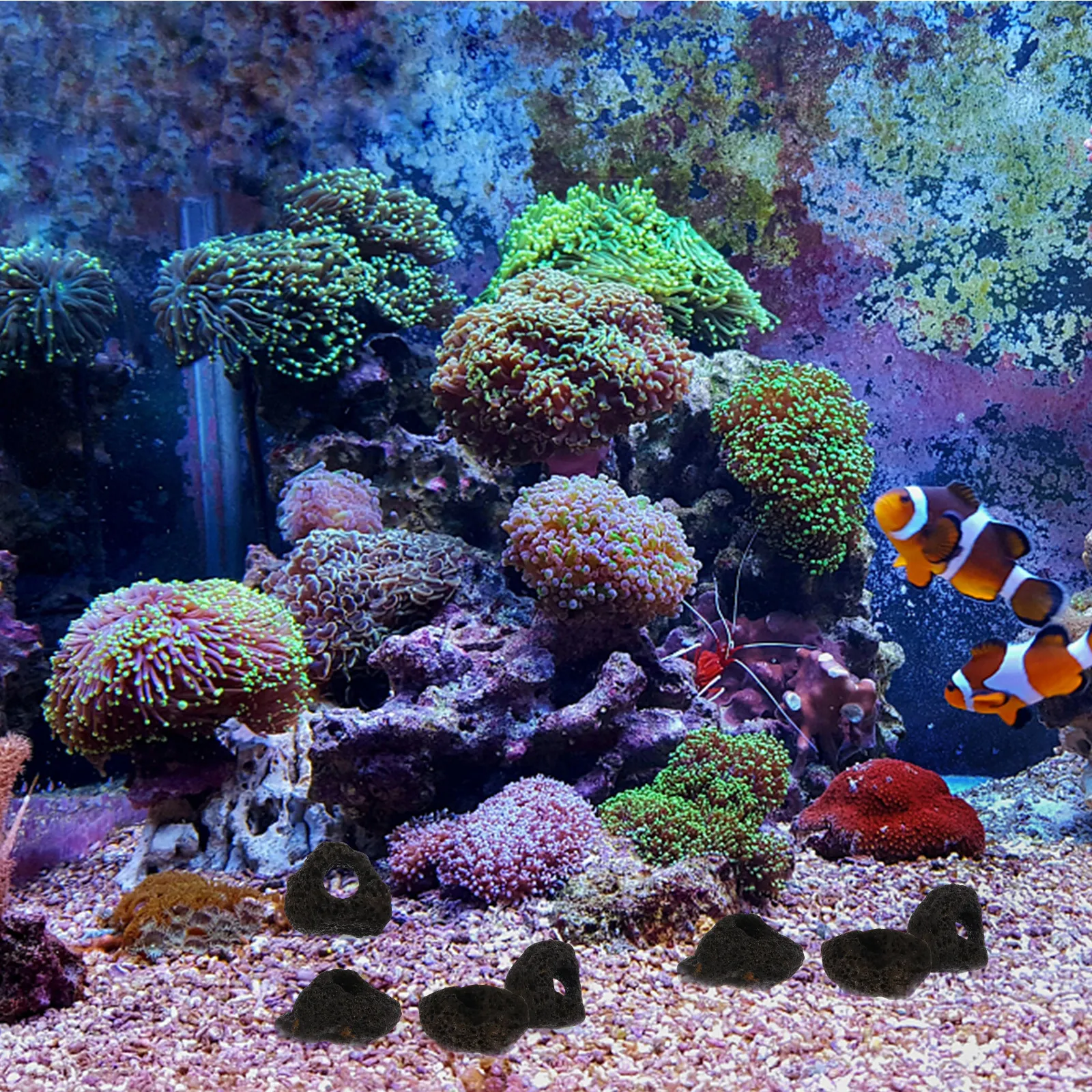 10Pcs Natural Volcanic Rocks Ornament for Aquarium Fish Tank Habitat Stone Cave Shelter Safe for Fresh Salt Water Easy Clean view 2