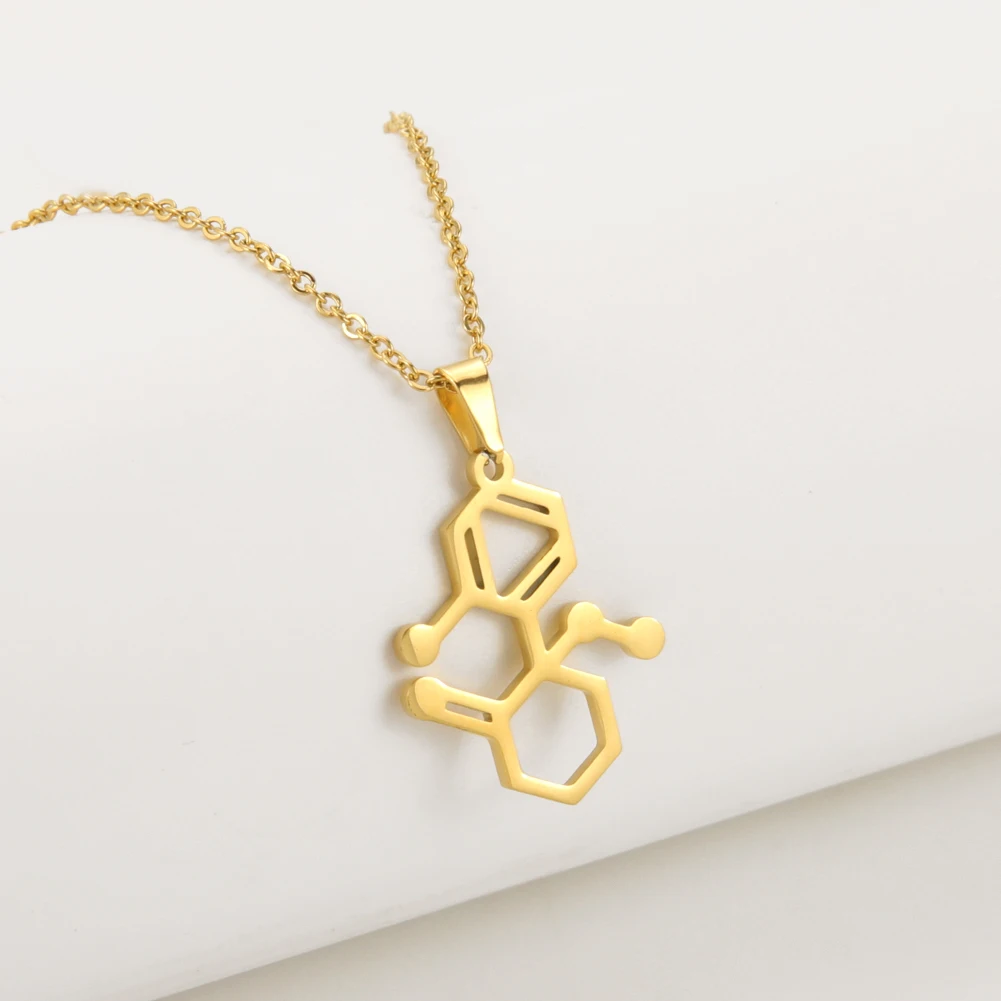 Dreamtimes Dopamine Molecule Necklaces Fashion Stainless Steel Necklace For Women Men Chemical Formula Pendant Graduation Gifts