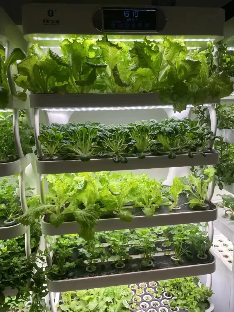 

Advanced vertical farming hydroponic vegetable planting home smart indoor garden planter