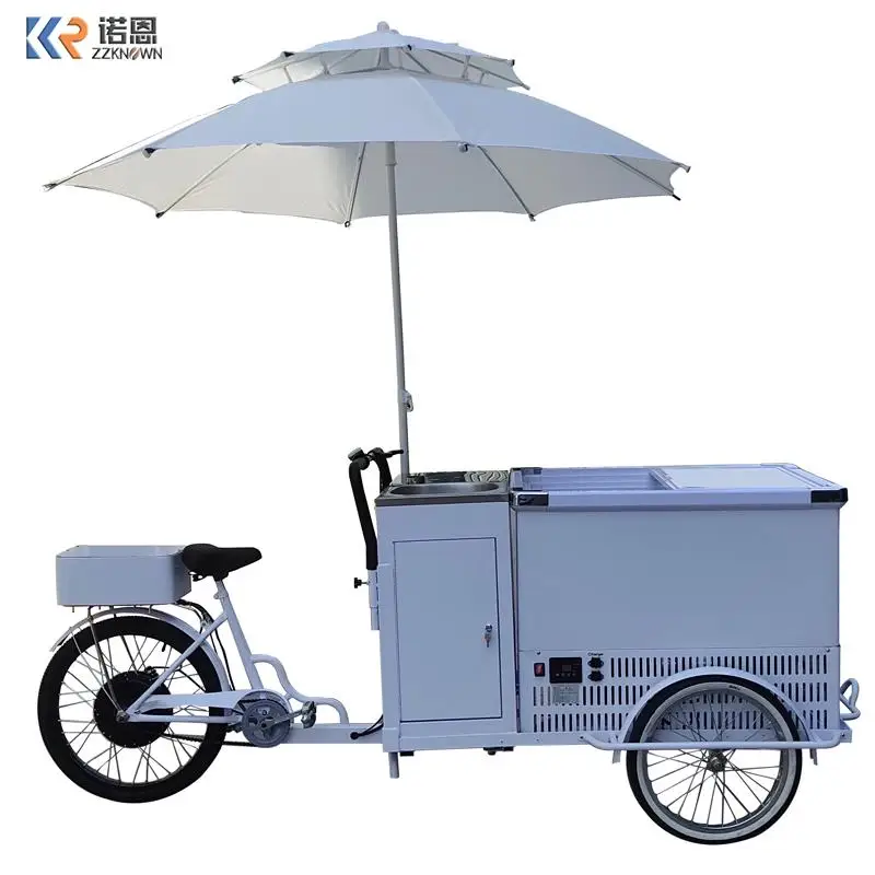 

48V DC Battery Powered Freezer Electric Bicycle Food Sales Shop Ice Cream Coffee Hot Dog Mobile Booth Mobile Restaurant