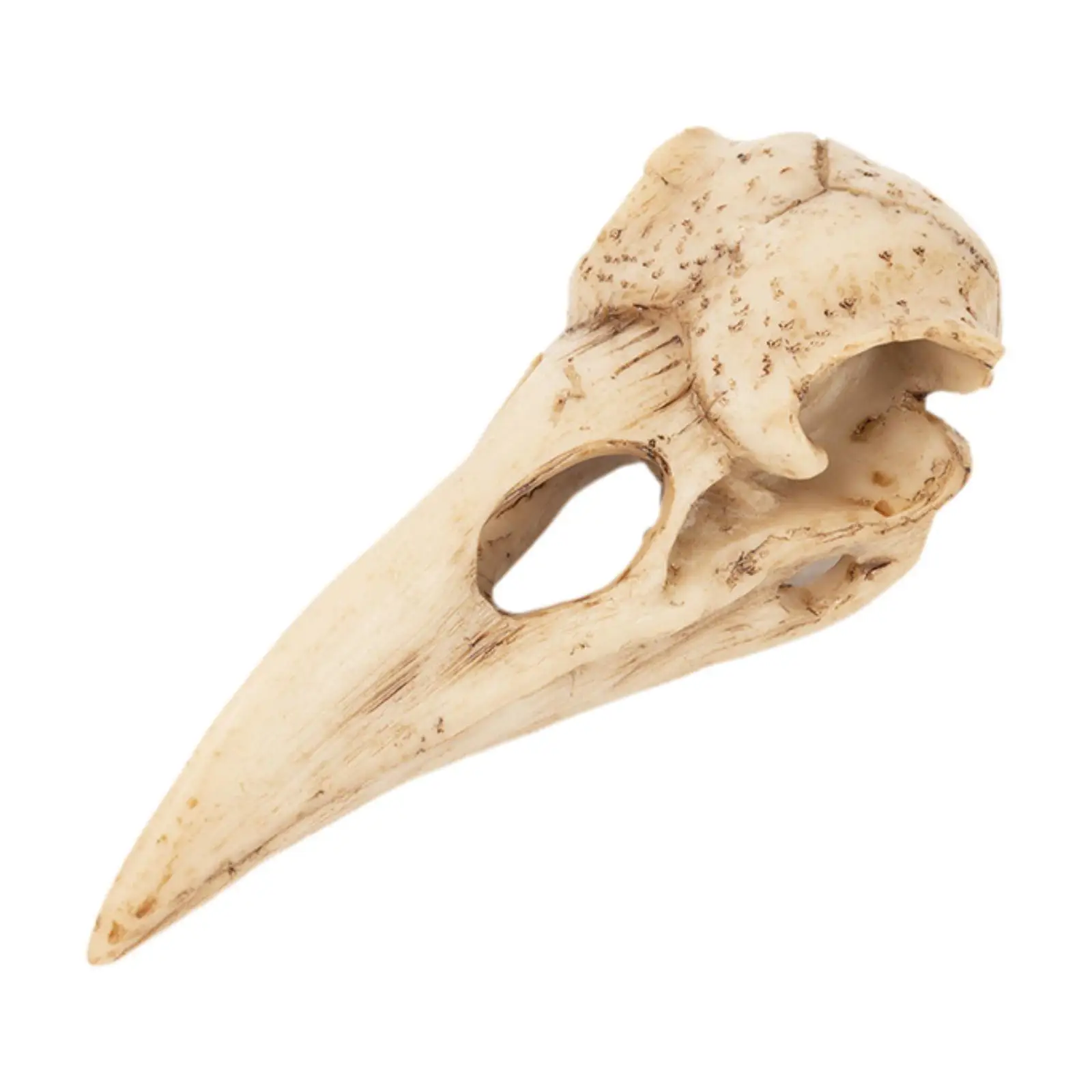 Raven Skull Statue,Hanging Wall Sculpture Resin Figurine Skull Pendant for Cosplay Costume Accessories Headpiece Home