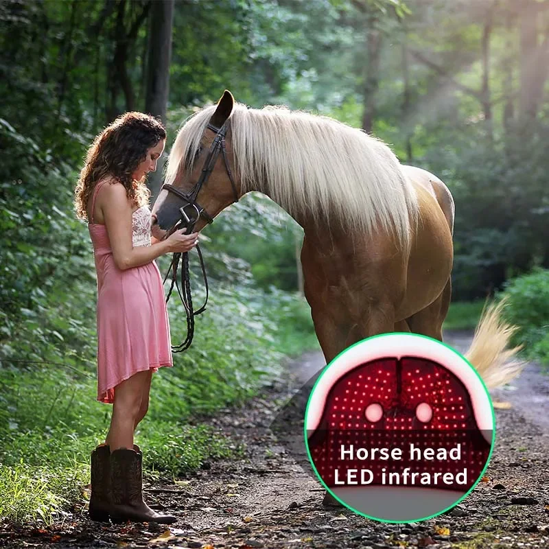 Built In Battery Red Light Therapy For Horse Leg Hoof Head Horse Therapy Tools Magnetic Horse Therapy