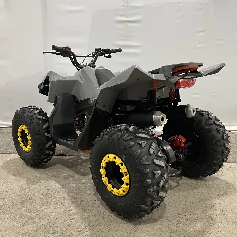 Beach Buggy All-Terrain Four-Wheel Off-Road Mountain Motorcycle Chain Drive Transmission