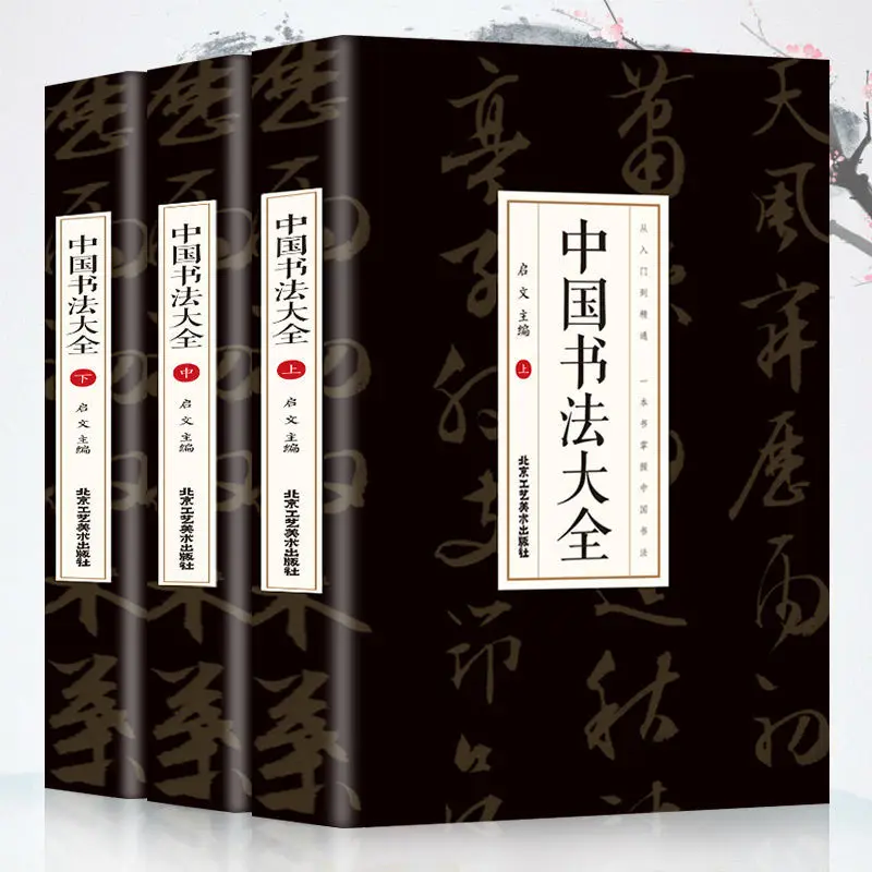 

3pcs Chinese Calligraphy Encyclopedia Reference Copybook From Entry to Mastery Technique Tutorial Pictures and Texts Combination