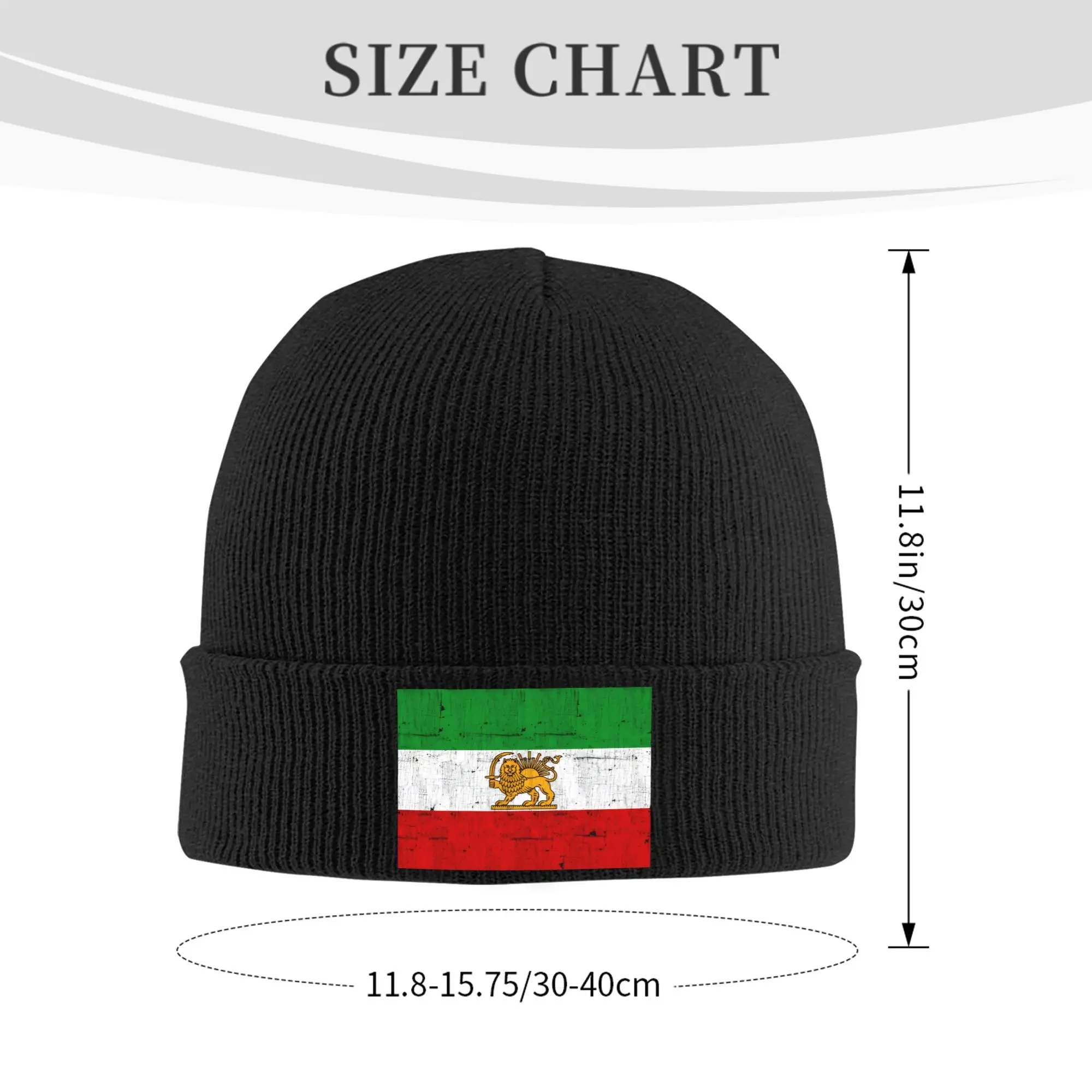 Iran Faded Style Flag Knit Hat  Retro Caps Adult Unisex Kpop Beanie Hats Winter Custom Warm Bonnet Hats