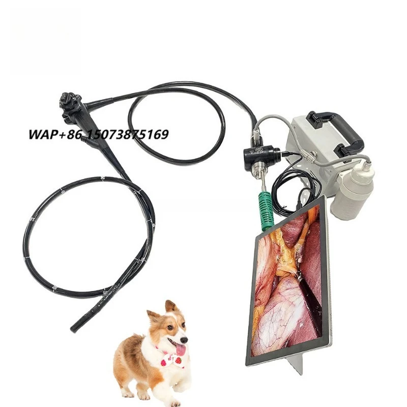 EUR VET factory direct sales of veterinary equipment, veterinary video gastroscopy, flexible endoscopes, colonoscopes