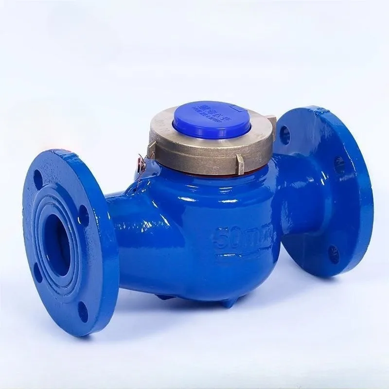 Water Meter DN50 DN65  Mechanical Wet Type Brass Nylon Cast Iron Residential Flow Meter