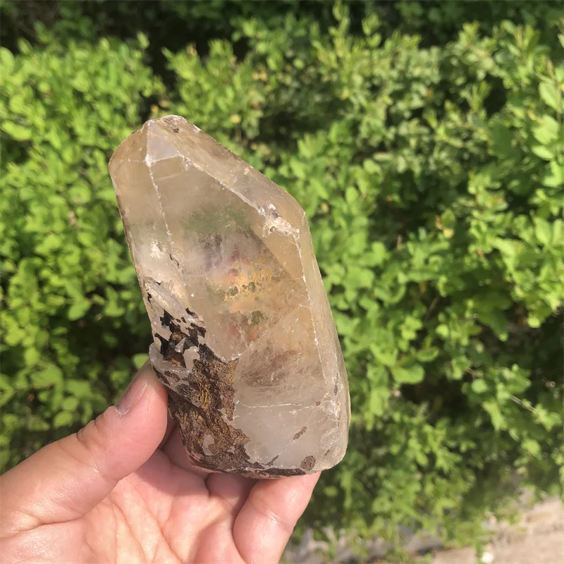 405g NATURAL Clear Smoky Lemurian Seed QUARTZ CRYSTAL Wand ORIGINAL POINTS Specimen