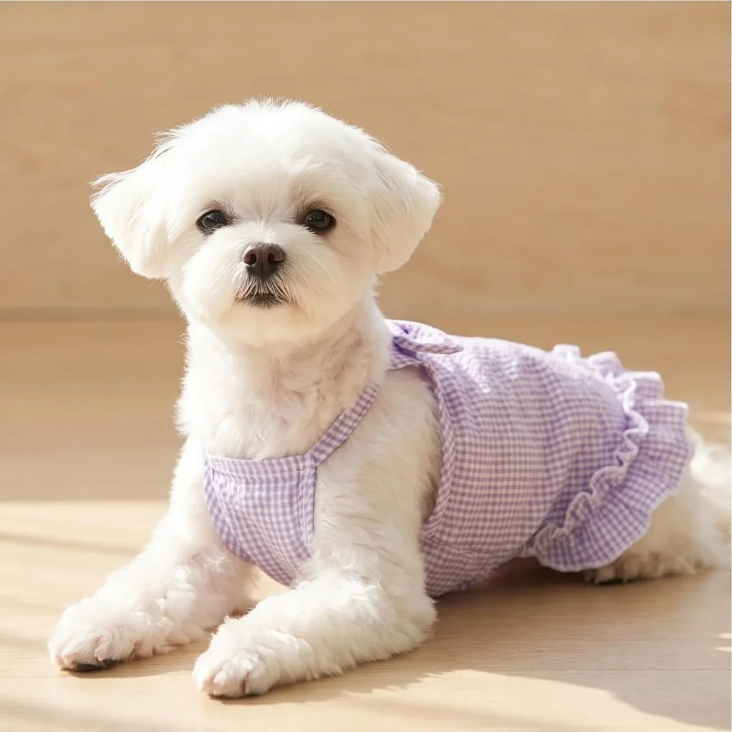 1 Stück Sommer-Haustierkleidung für kleine Hunde, niedliches gerüschtes gestreiftes Hundetanktop, atmungsaktive Welpenweste, süße Rüschen-Hundebekleidung – Detail 26