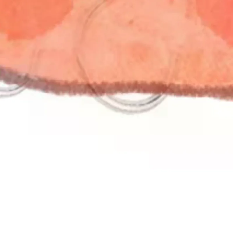 

Adjustable Automatic Wire Rope Spring Hook Clothesline Picture Hanging Suspension Code Cable With Curved Hook