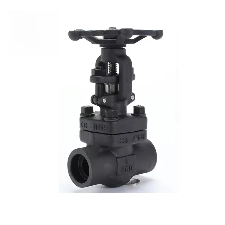 selling well Forged A105  F304 f316 1 inch carbon Stainless Steel Price  Gate Valve