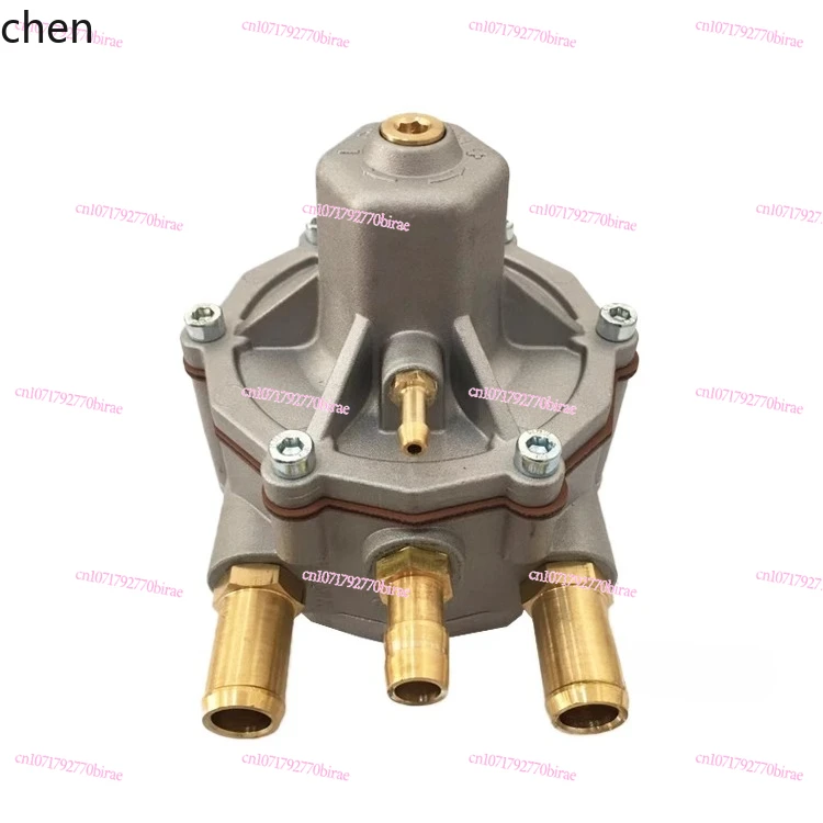 HXL  Automotive Natural Gas Parts LPG Liquefied  Vehicle Multi-point Pressure Reducer Thomas Evaporator