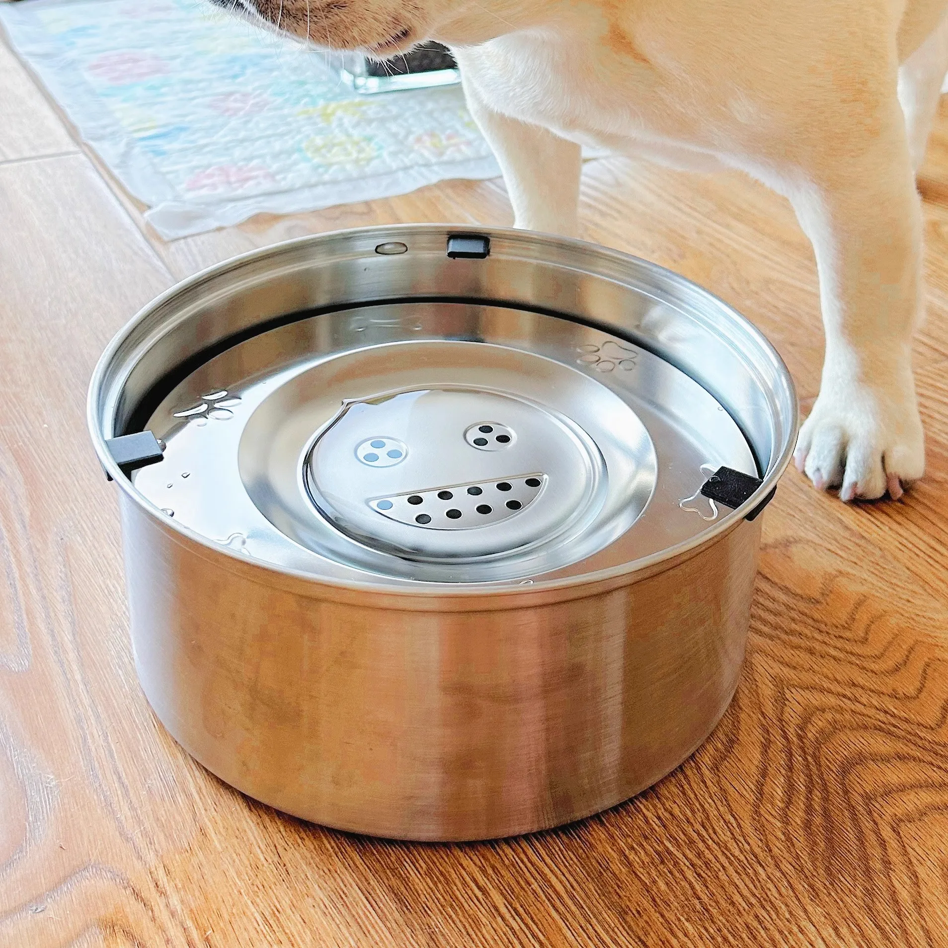 

Stainl Steel Floating Dog Water Bowl No Wet Mouth Pet Drinking Fountain Small Dog Bowl Anti Flip Buoyancy Water Basin