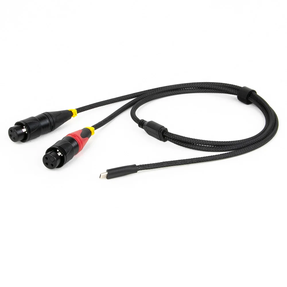 Cavo adattatore convertitore audio USB tipo C a doppio XLR, altoparlante attivo con connessione USB C per telefono cellulare, cavo audio amplificatore di potenza