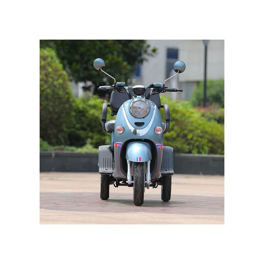 Cost Effective Quality Assurance Adults 3 Wheels Electric Leisure Vehicle Motorcyclecustom