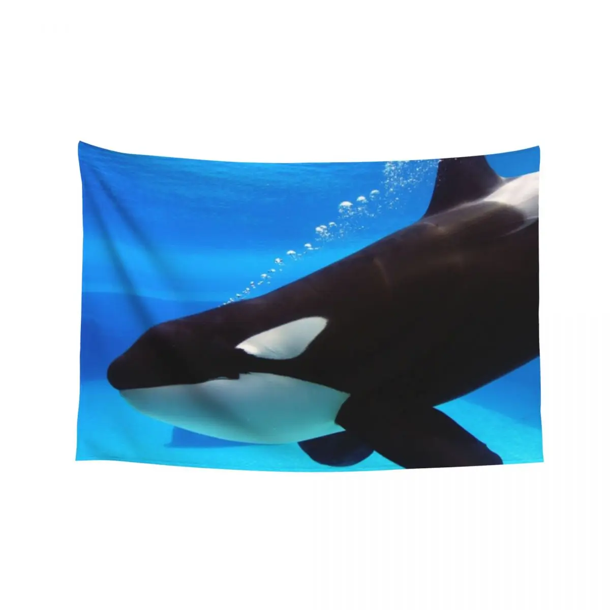 

Killer whale orca swimming underwater Tapestry Room Decore Aesthetic Kawaii Room Decor Tapestry