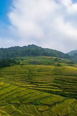 

4 шт. колесные шины с ЧПУ 1,9 дюйма/2,2 дюйма для 1/10 1/8 RC автомобиля Axial SCX10 D90 TRX4 Capra Wraith Monster Truck, обновленные детали