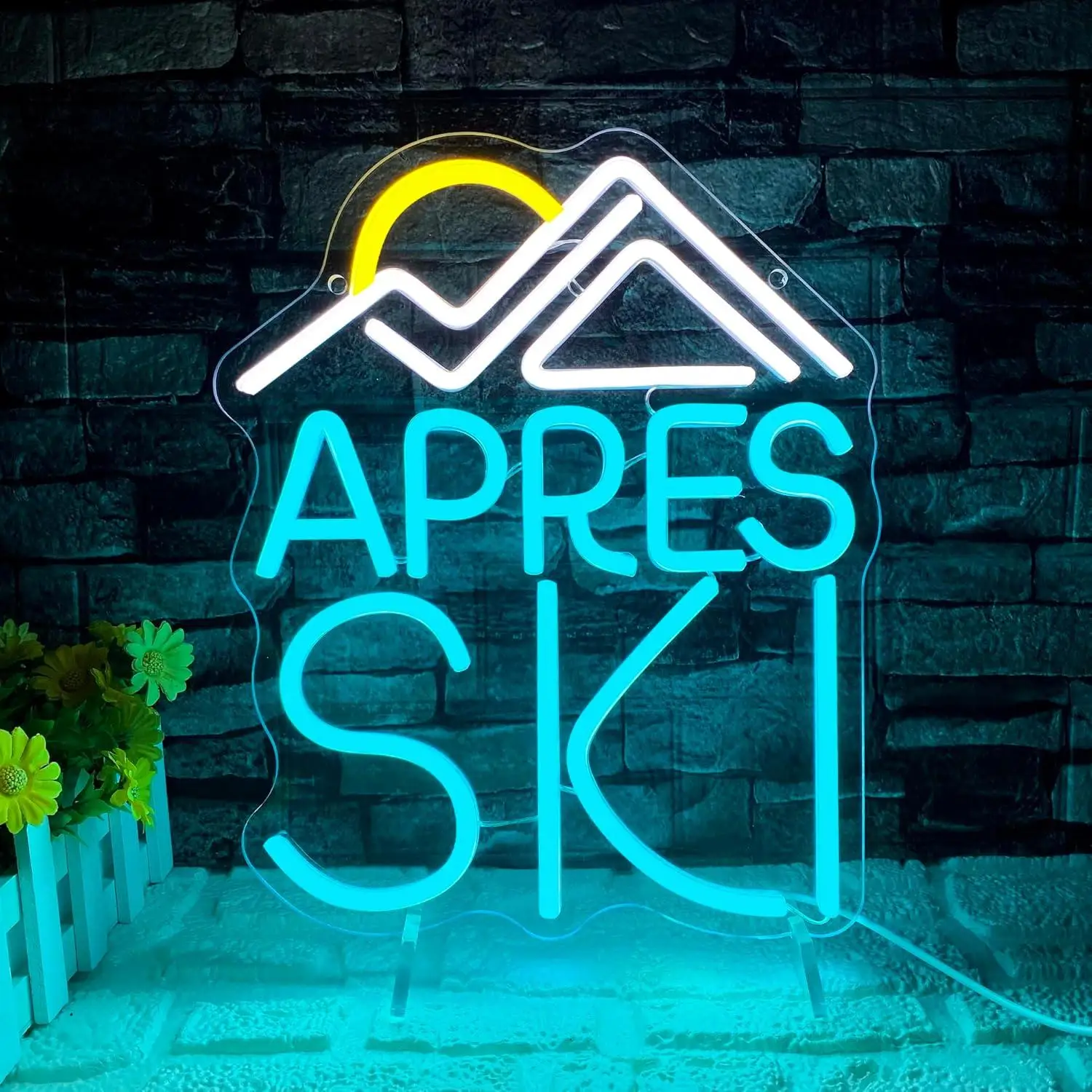 Apres Ski Neon Sign USB Dimmable LED Light for Ski Lodge Bar Man Cave Winter Sports Themed Wall Art Decor Signboard Light Gifts