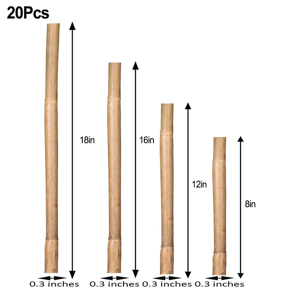 Natural Plant Support Stakes Reusable and Sturdy 20pcs Perfect for Vines Climbers Vegetables and Plants Natural