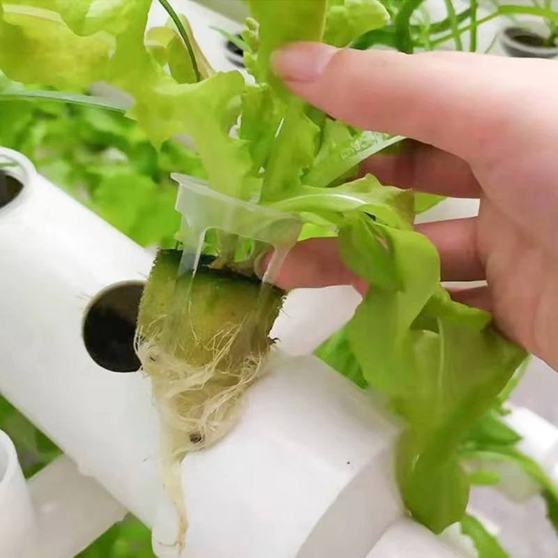 100Pcs Bodenlosen Hydrokultur Gartenpflanzen Werkzeuge Gepflanzt Schwamm Gemüse Anbau System Kindergarten Samen Pflanzung Tabletts Schwamm – Detail 16