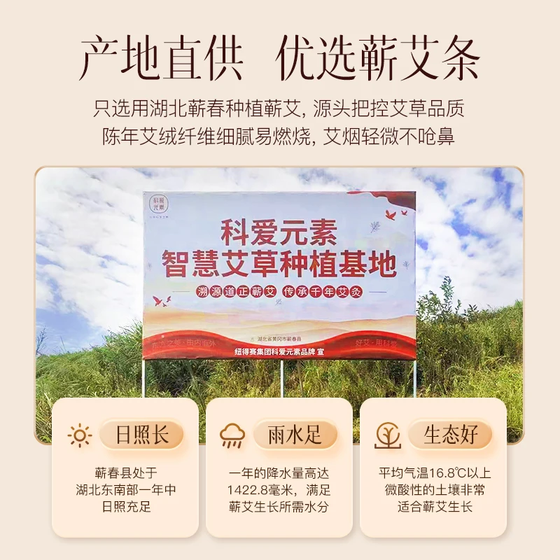 Instruments de fumigation domestiques avec bâtons de moxa