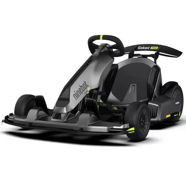2025 New Original Go Kart Pro 2 Go Karts With 4 Gears 43Km/h Max Speed Electric Racing Manumatic