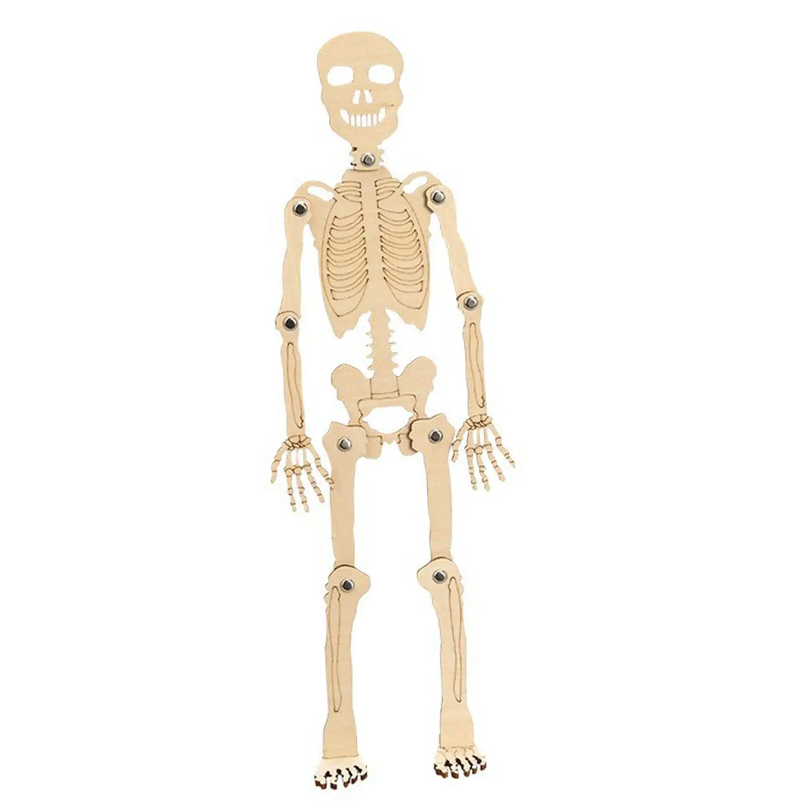 Science Toy Human Skeleton Model Stem Educational Toy 3D Puzzle, Handmade Material Package Kits for Children Educational Tool