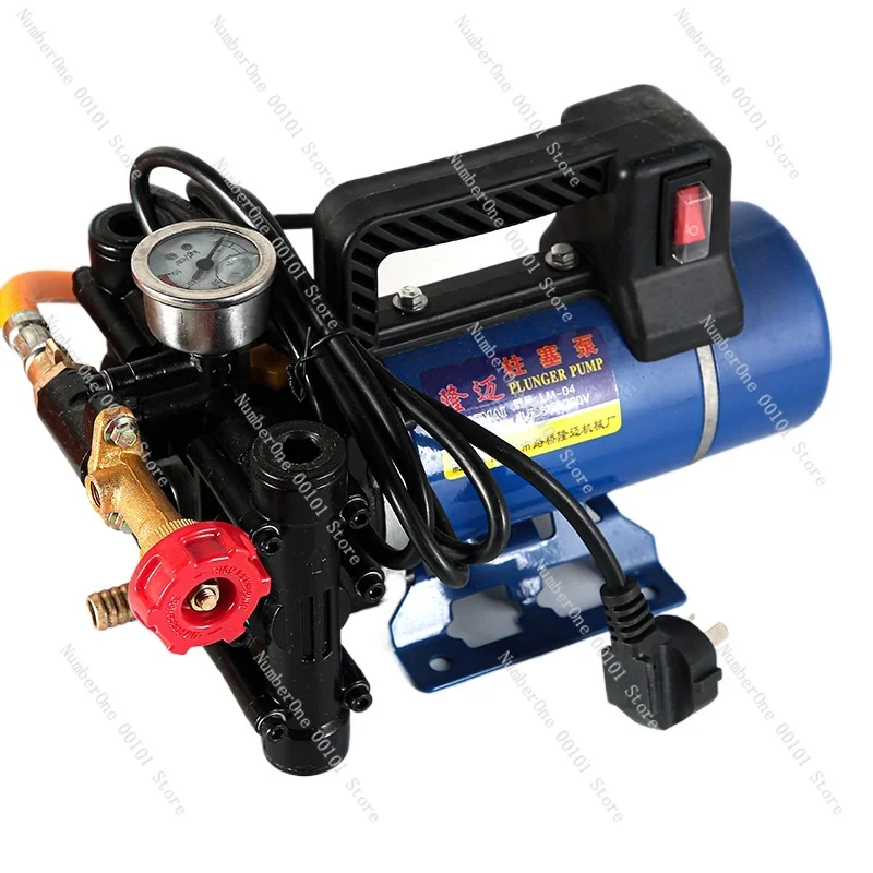 Portable plunger pump 12V24V48V60V220V electric sprayer double cylinder high pressure fruit tree spraying pump