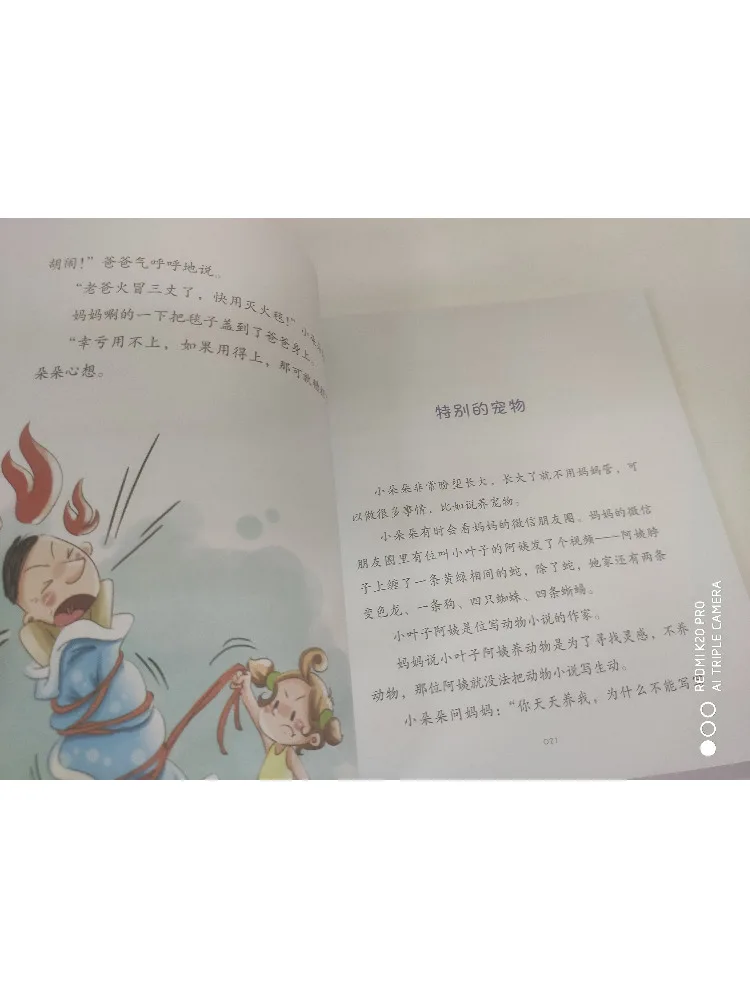كتاب-Winshare الصف الثالث Little Dodo إصدار مصور بشكل جميل بالألوان الكاملة