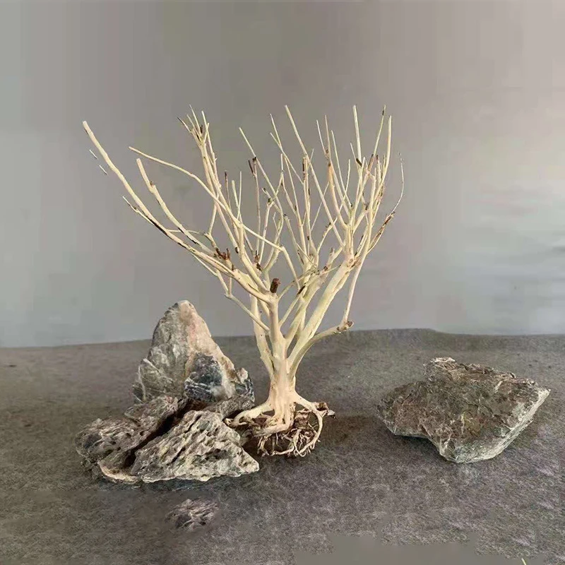 Moss aquarium tank moss tree fish tank decoration fish tank accessories decoration drift wood extra large driftwood branches