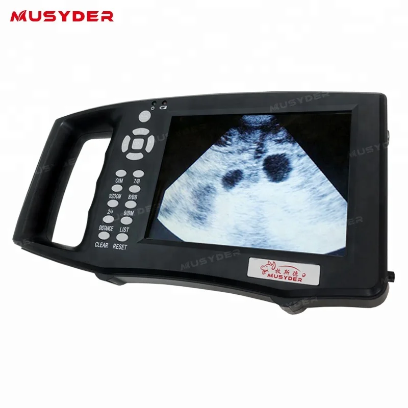 Portable pig pregnancy ultrasound scanner for veterinary