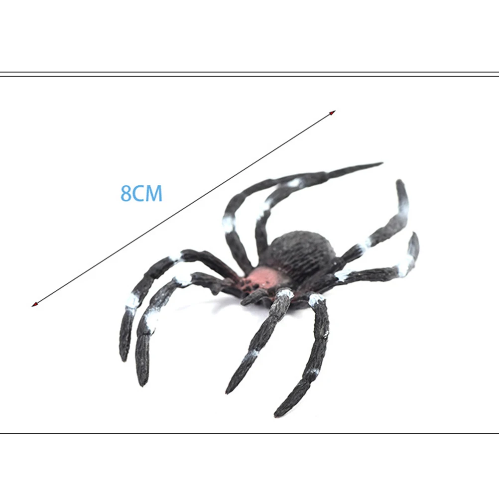 

6 Pcs Simulation Spider Toy Educational for Kids Prop Insect Preschooler's Natural Science Model Figure Ornament