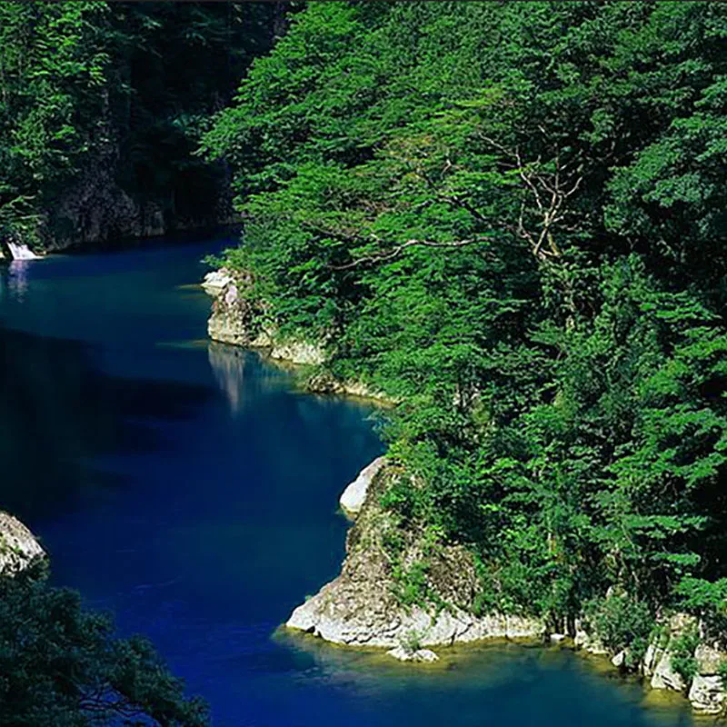 

Бесщеточный водонепроницаемый мотор DarwinFPV HULK 2204.5 1750KV 2450KV для радиоуправляемых FPV-дронов, гоночных мультироторов, аксессуары для RC DIY