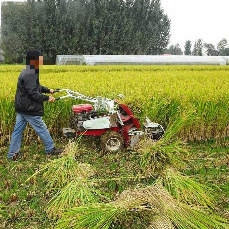 Rice and wheat harvesting and baling integrated machine, automatic self-propelled multi-functional cutting and baling machine