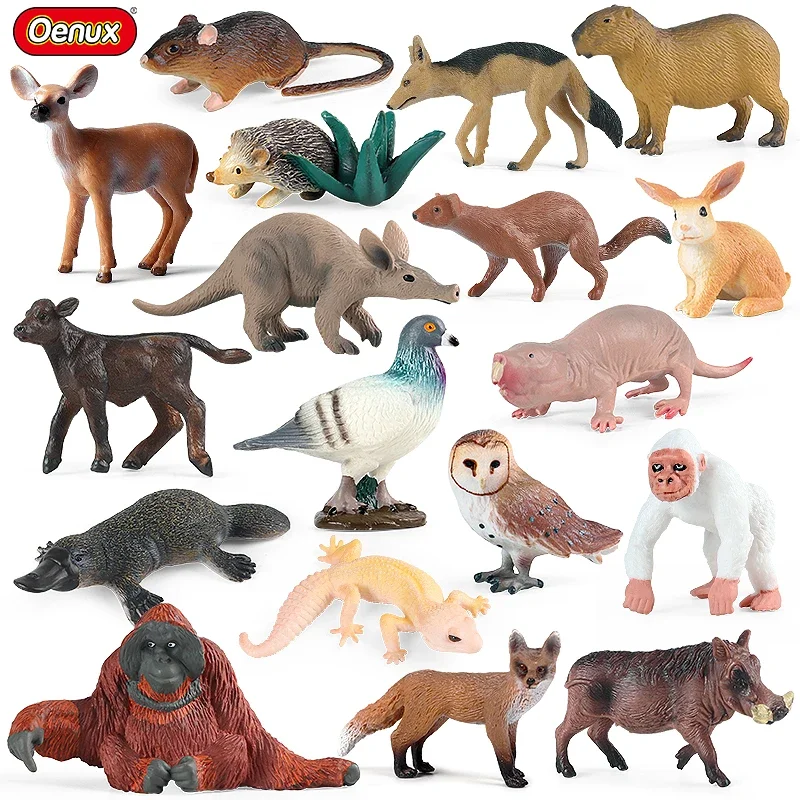 

Oenux New Wild Animals Forest Orangutan Pigeon Hedgehog Aardvark Capybara Action Figure Model Figurines PVC Collection Kids Toy