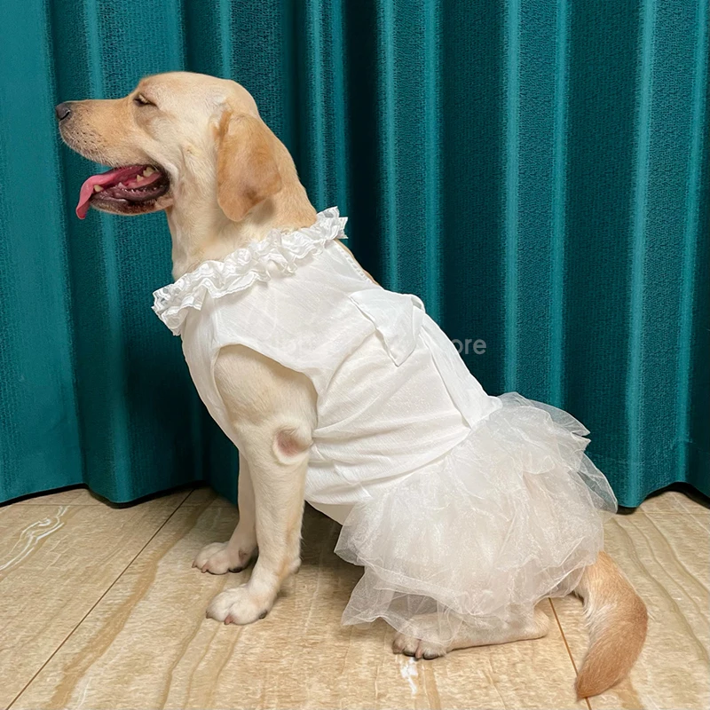 Big Dog Dresses Wedding Dress for Large Dog Summer Chiffon White Pet Dress Labrador Golden Retriever Pet Clothes Husky Clothing