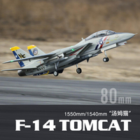 Flying Wing Model F-14 Dual 80mm Channel Simulation Model Aircraft Professional Grade Model 6-Blade 80mm Power Unit