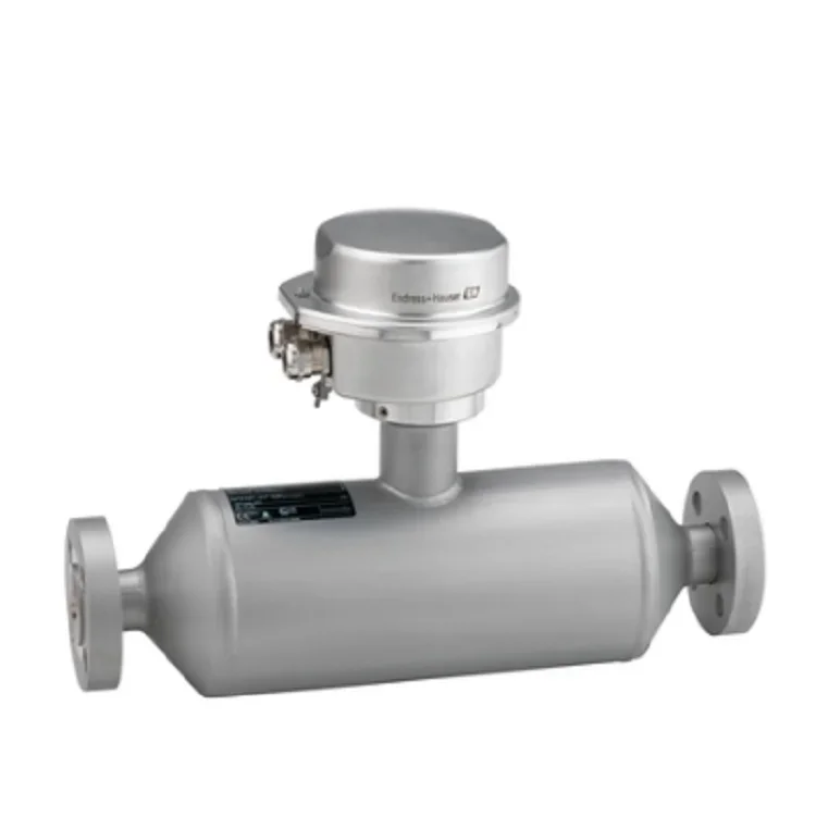 Endress+Hauser Coriolis Proline Promass I 100 flowmeter The Straight Single-Tube Design Coriolis Flowmeter