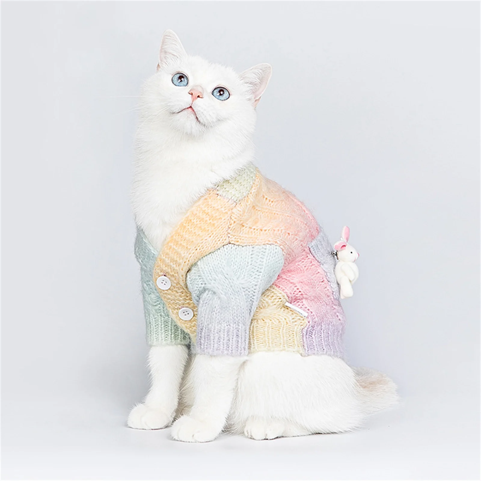 

Sweater For Small Dogs Colorful Knitted Puppy Sweaters With Leash Hole Turtleneck Pet Dog Sweaters Winter Warm Dog Clothes