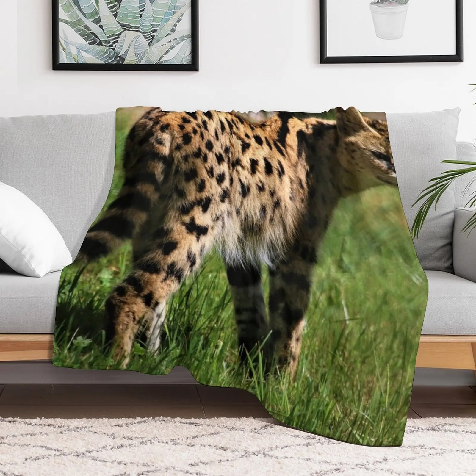 

Sleek Serval Throw Blanket Custom Hairy Soft Blankets