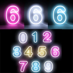 Glowing Numbers 0 to 9 LED Neon Lights 15 Iches Numbers for Birthday Party Anniversary Event Home Bar Hotel Art Decoration