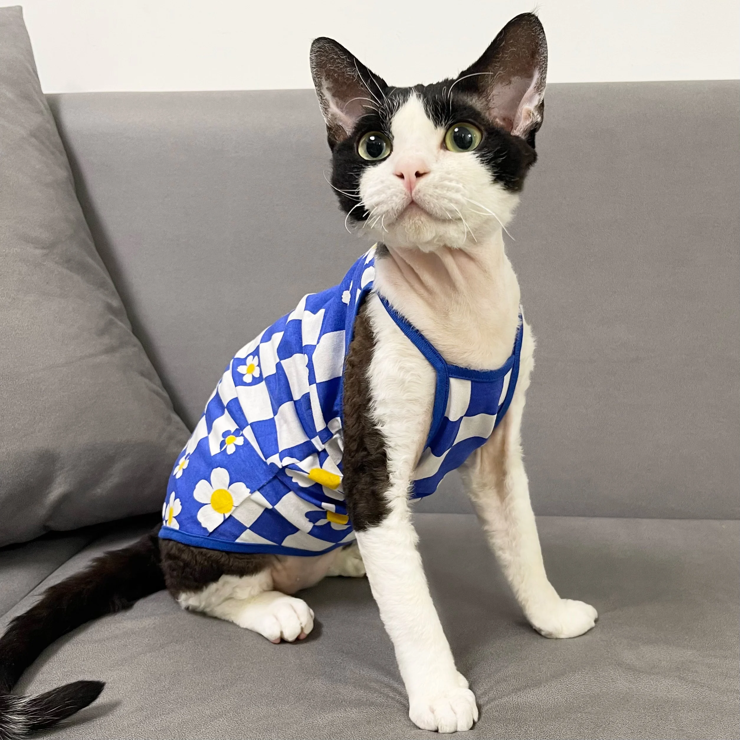 Gilet à carreaux en coton pour chats Sphynx, chemise rafraîchissante d'été à manches courtes pour chatons, manteau doux pour Devon Rex Cat Appeal