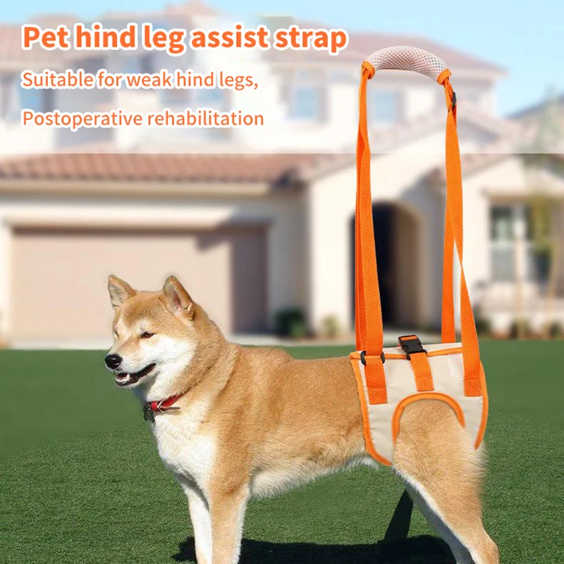 Adjustable Dog Sling Back Legs Hip Support Pet Accessories for Canine Aid and Ligament Rehabilitation Dog Lift Harness