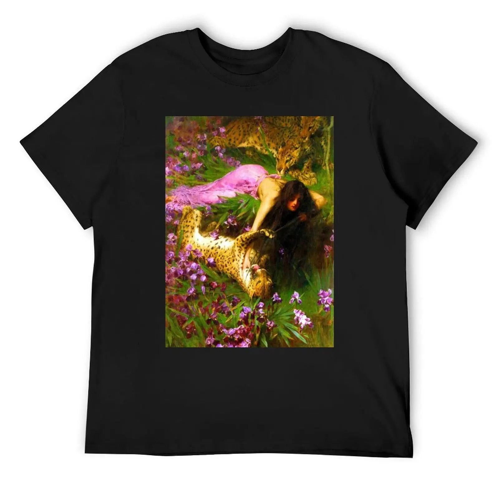 The Enchantress - Arthur Wardle T-Shirt vintage korean fashion for a boy graphics mens graphic t-shirts