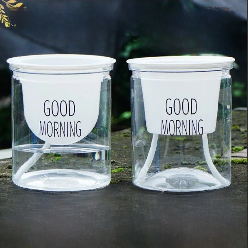 vasos-de-plastico-transparentes-com-absorcao-automatica-de-Agua-estilo-nordico-para-plantas-verdes-e-suculentas-colecao-saudacao-da-manha