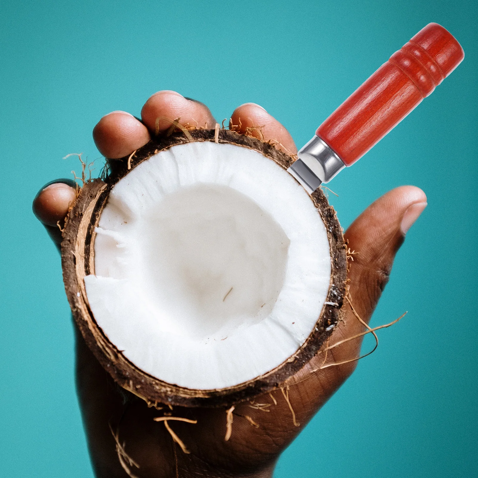 

Coconut Opener Tool Stainless Steel Strong For Home Kitchen Gadgets Coconuts Opening Tools Meat Remover Cutter