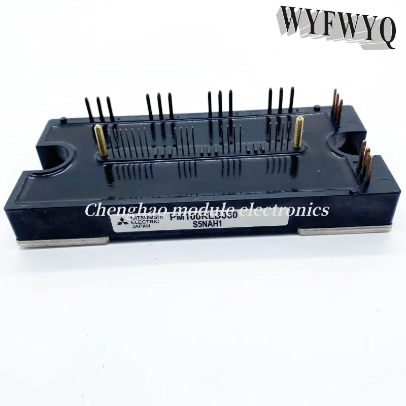 

PM100RLB060