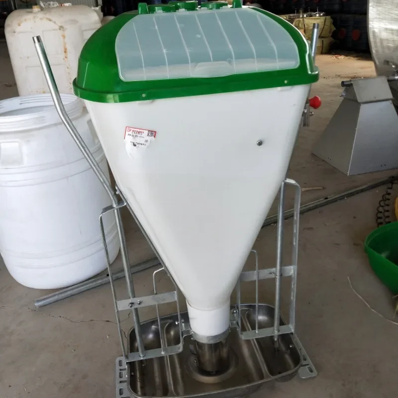 Pig feeding equipment Automatic animal feeding wet and dry pig feeder