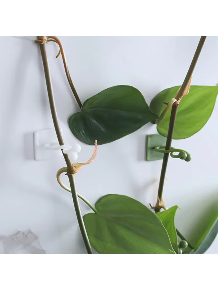 100pcs-Home Garden Plant Climbing Wall Fixture Clips Rattan Vine Fixer Self-Adhesive Plant Climbing Wall Fixed Buckle Hook