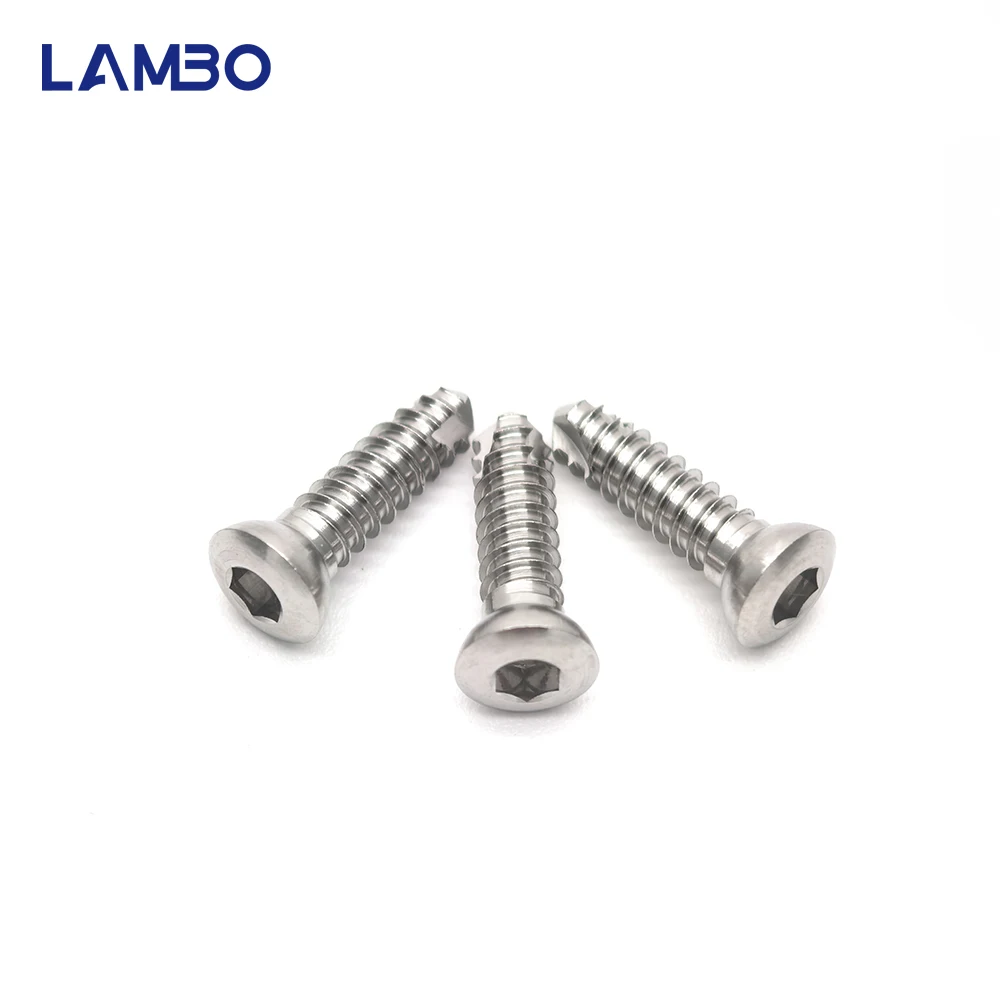 10pcs Vet 2.4mm SS Self-tapping Hexagon Cortical Screws Pet Veterinary Orthopedics Implants Surgical Instruments Pet Products
